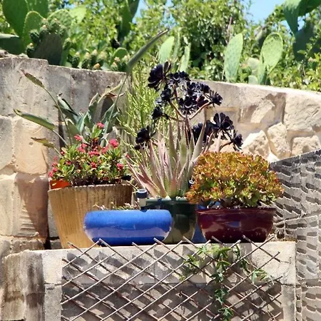 400 Year Old Converted With Private Pool * Xagħra